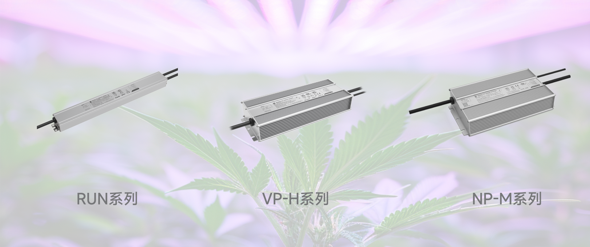 旋乐吧spin8·(中国集团)官方网站