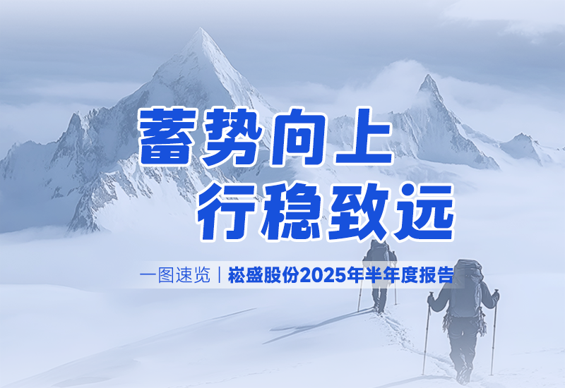 一图速览 | 旋乐吧spin8股份2025年半年度报告